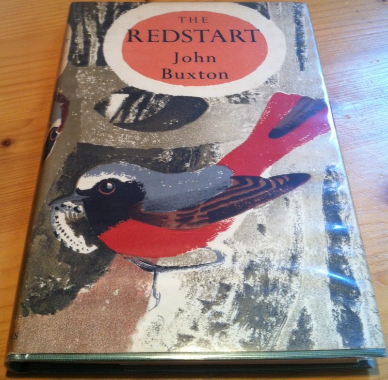 Buxton, John - The Redstart - gekraagde roodstaart