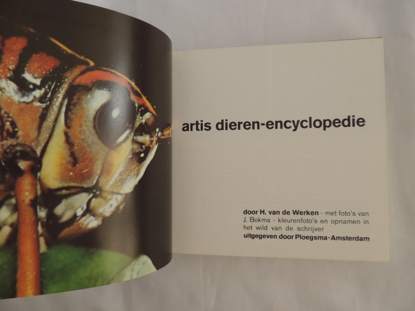 Werken, H. van de - tekst / Bokma, J. - foto's - Artis Dieren-Encyclopedie deel 5 - PYTHON / TIJGER