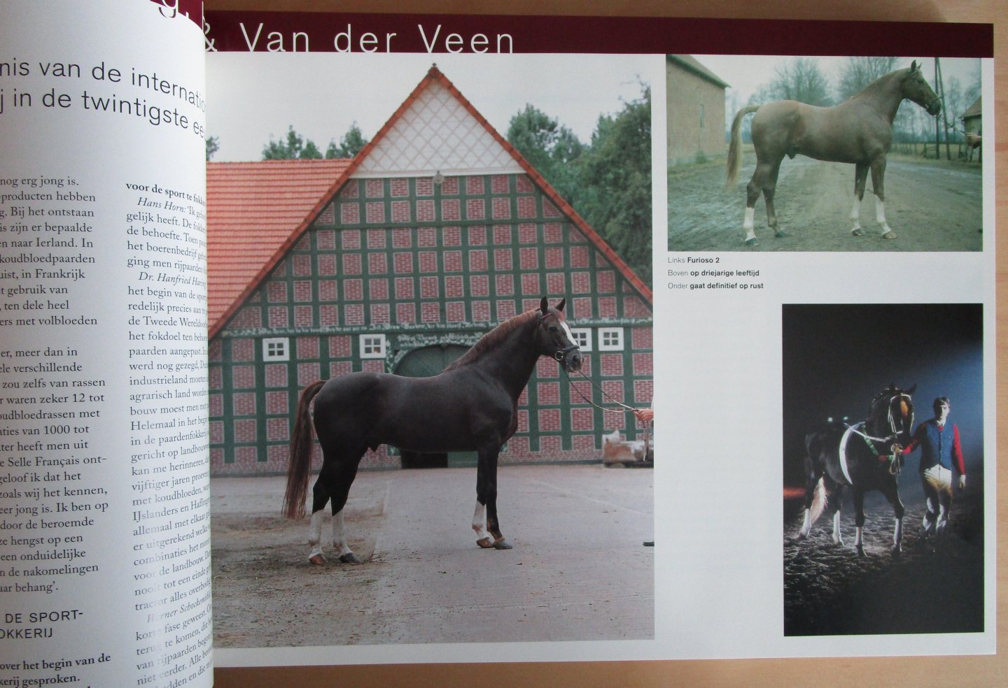 Van Leeuwen, Jaques - Het paard in de twintigste eeuw, 100 jaar in 100 interviews en 500 foto's
