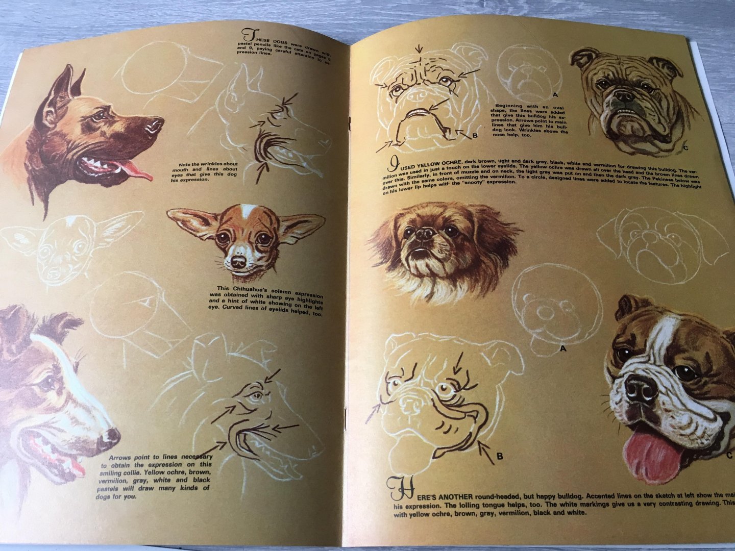Walter J. Wilwerding - How to draw and paint animal expressions