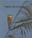 BOEKEMA,E.J., P.GLAS & J.B.HULSCHER. - Vogels van de provincie Groningen.