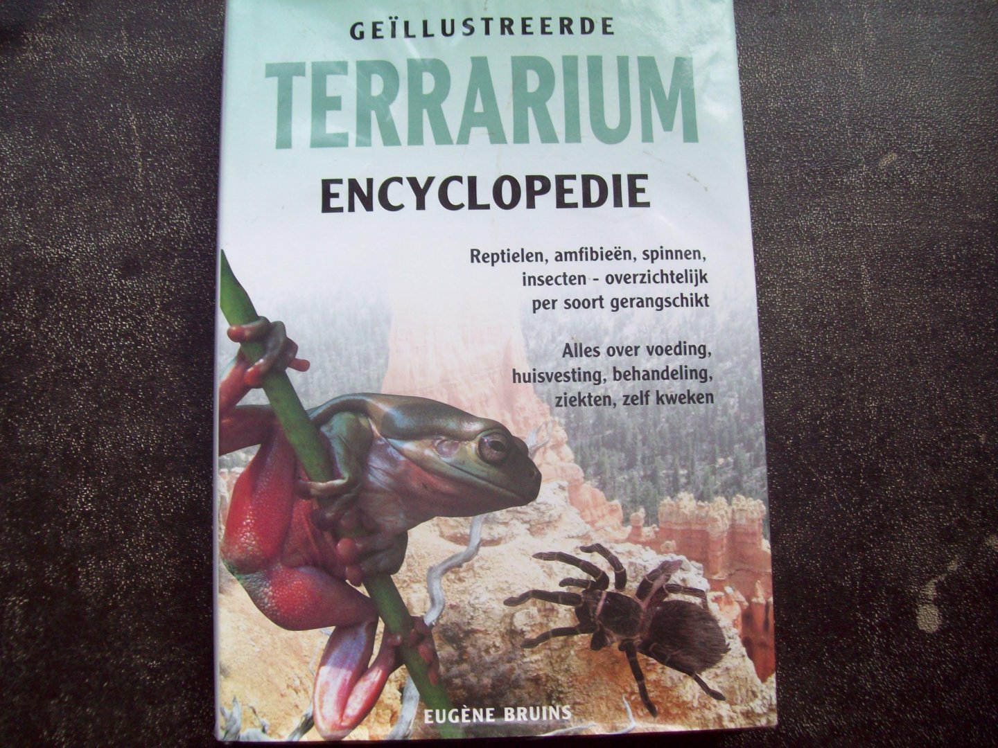 Eugène Bruins - "Geïllustreerde Terrarium Encyclopedie"  Reptielen - Amfibieën - Spinnen - Insekten