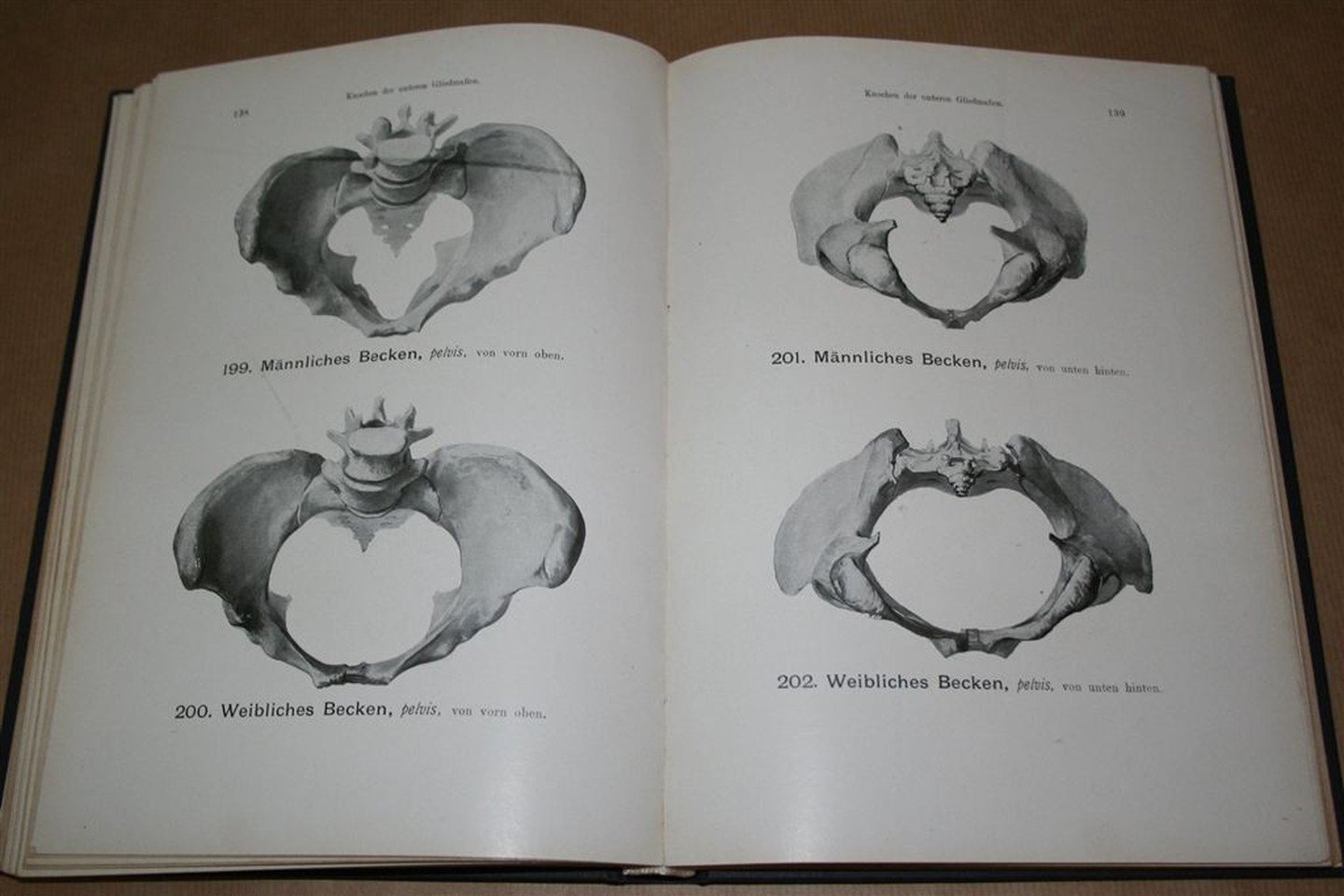 Werner Spalteholz, Wilhelm His - Handatlas der Anatomie des Menschen — Band. 1. Knochen, Gelenke, Bänder — Mit unterstützung von Wilhelm His