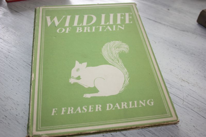 Fraser Darling F. - Wild life of Britain