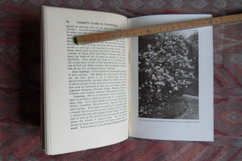 Thomas, H.H. - Cassell`s Guide to Gardening.