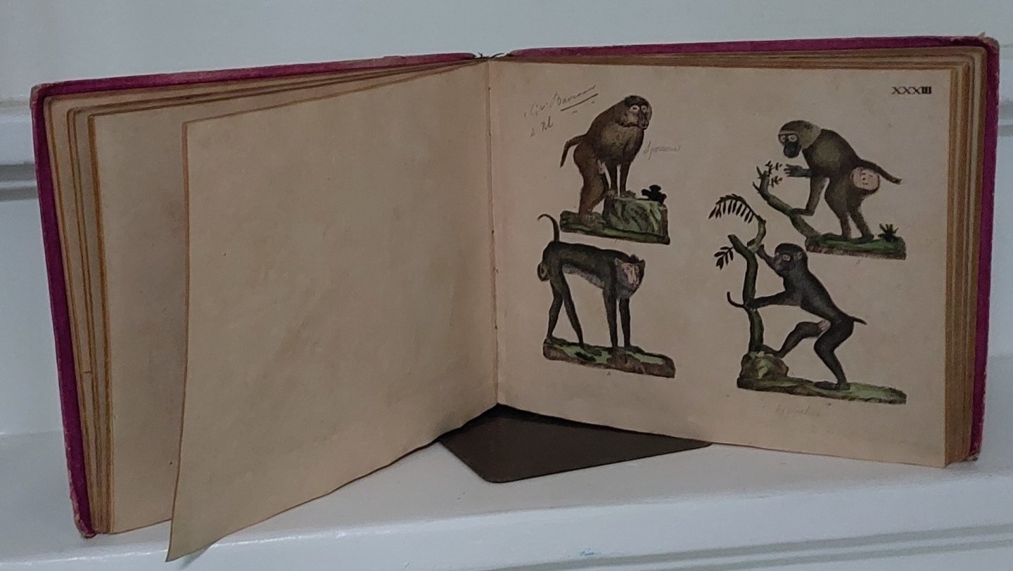 Strack, fried. - NATURGESCHICHTE IN BILDERN MIT ERLÄUTERNDEM TEXT. 1. LIEFERUNG: SÄUGETHIERE. 84 KOLORIERTE LITHOGRAPHIEN .