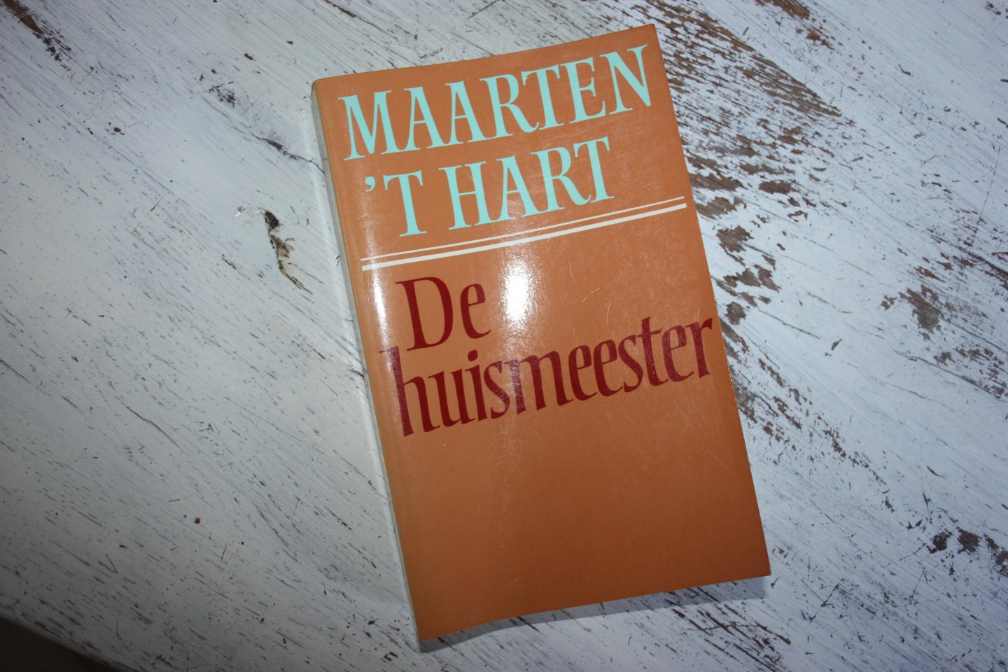 Hart, Maarten 't - DE HUISMEESTER