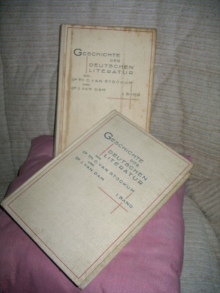 Stockum, Th. C. van, & J. van Dam - Geschichte der Deutschen Literatur, 2 Banden