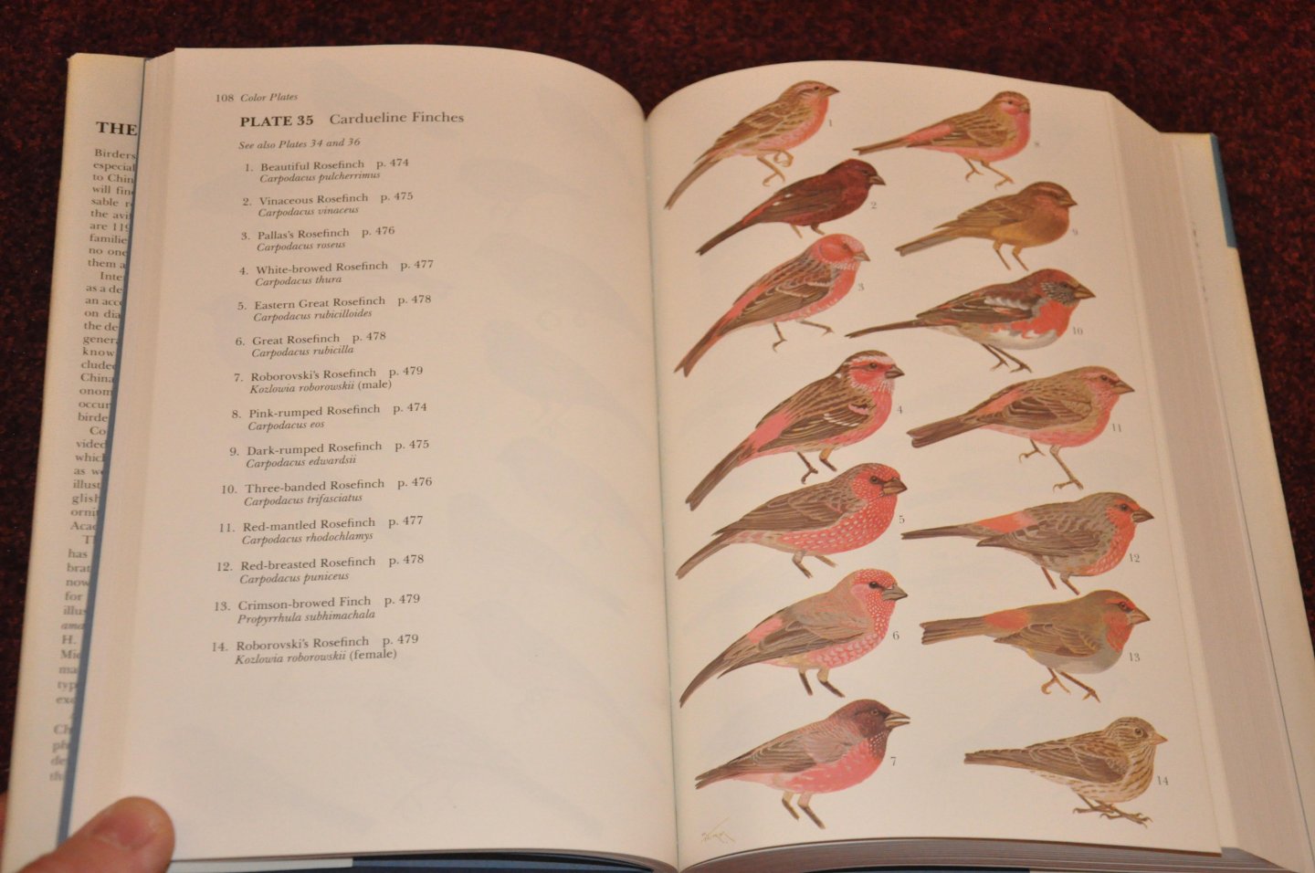 Meyer de Schauensee, Rodolphe - The Birds of China