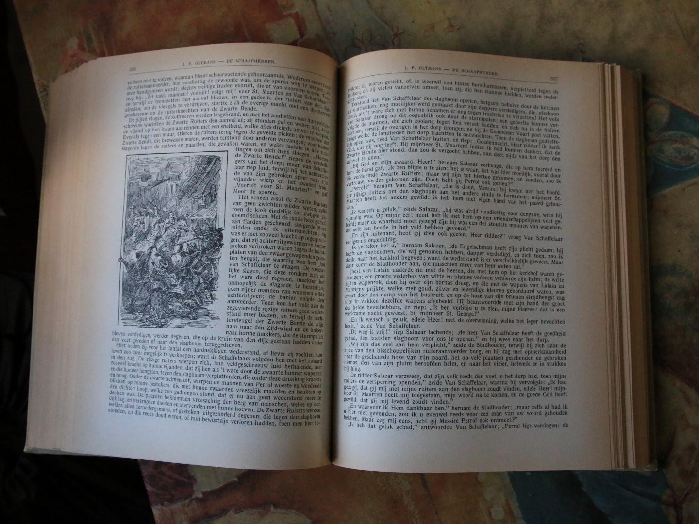 Oltmans - De Schaapherder