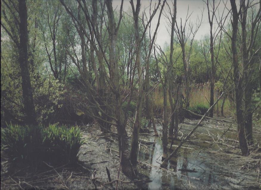 BERGER, Wout - Wout Berger - Giflandschap / Poisoned Landscape. Vervuile locaties en landschappen in Nederland / Polluted sites and landscapes in the Netherlands. Voorwoord / Introduction Lucas Reijnders. Tekst / Text Rob Sijmons.