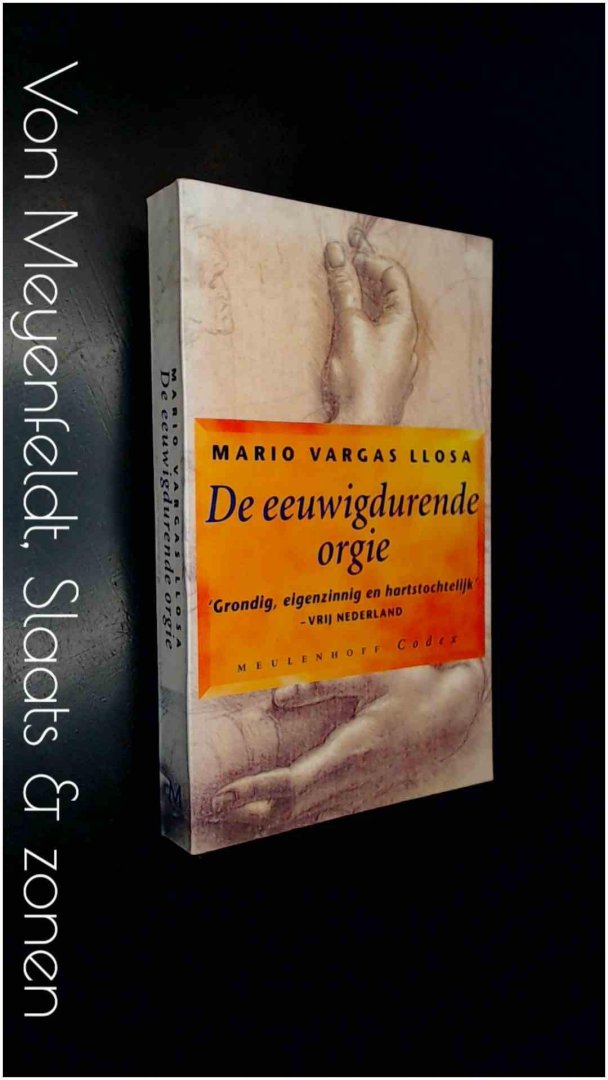 Vargas Llosa, Mario - De eeuwigdurende orgie - Over Flaubert en Emma Bovary