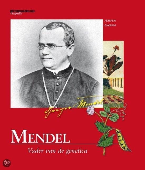 A. Giannini - Mendel