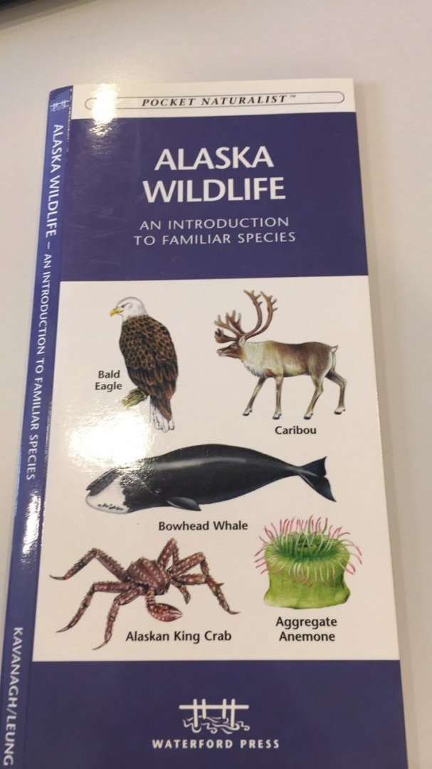 Onbekend - Alaska wildlife an introduction to familiar species