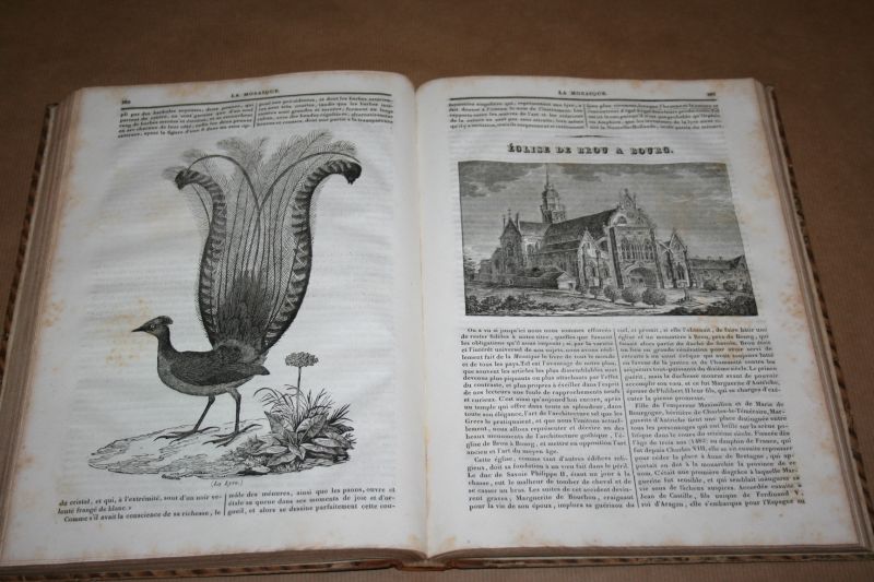  - La Mosaïque -- Livre de tout le monde -- 1833 - 1834  (eerste jaargang)