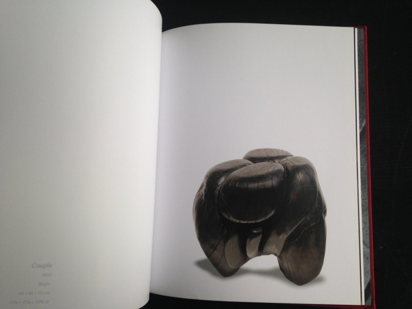  - Catalogus Wang Keping