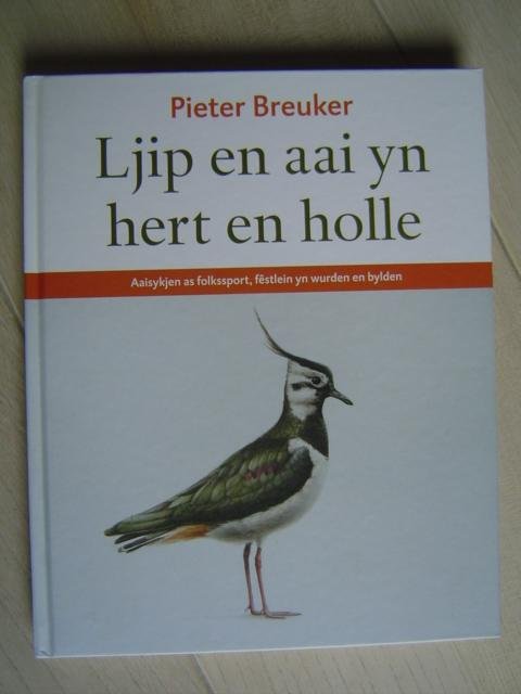 Breuker, Pieter - Ljip en aai yn hert en holle / aaisykjen as folkssport, fêstlein yn wurden en bylden