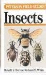 Borror, Donald - Peterson Field Guide: Insects