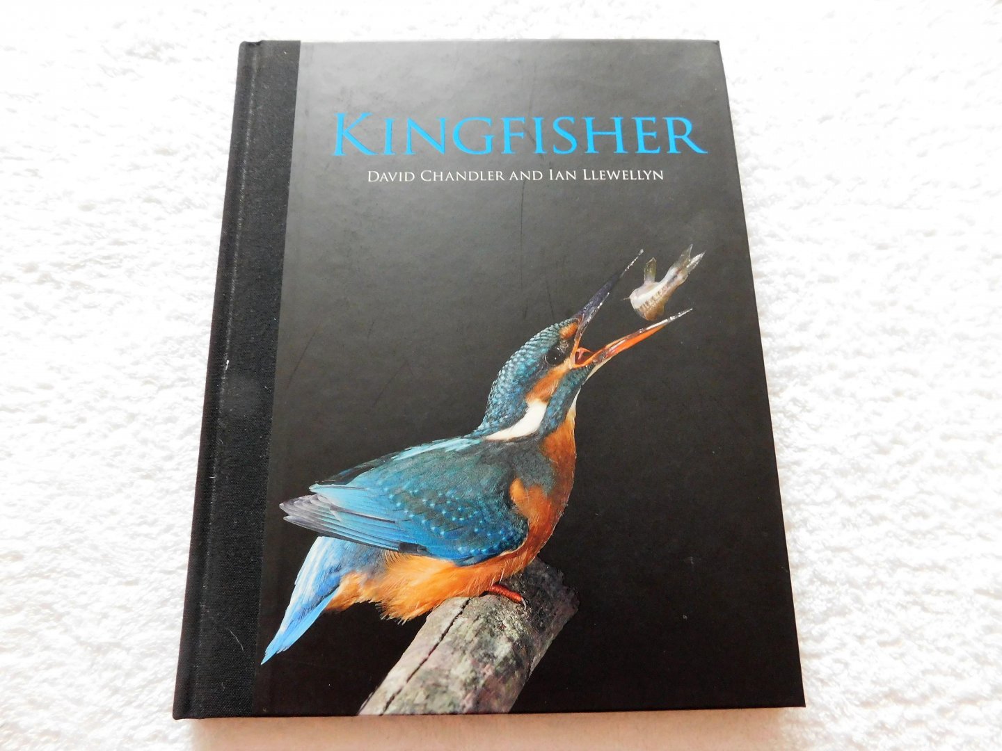 David Chandler and Ian Llewellyn - Kingfisher