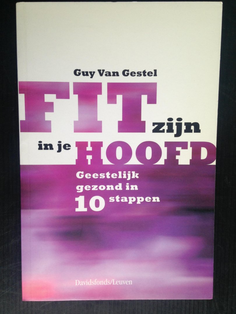 Gestel,  Guy Van - Fit zijn in je hoofd, Geestelijk gezond in 10 stappen