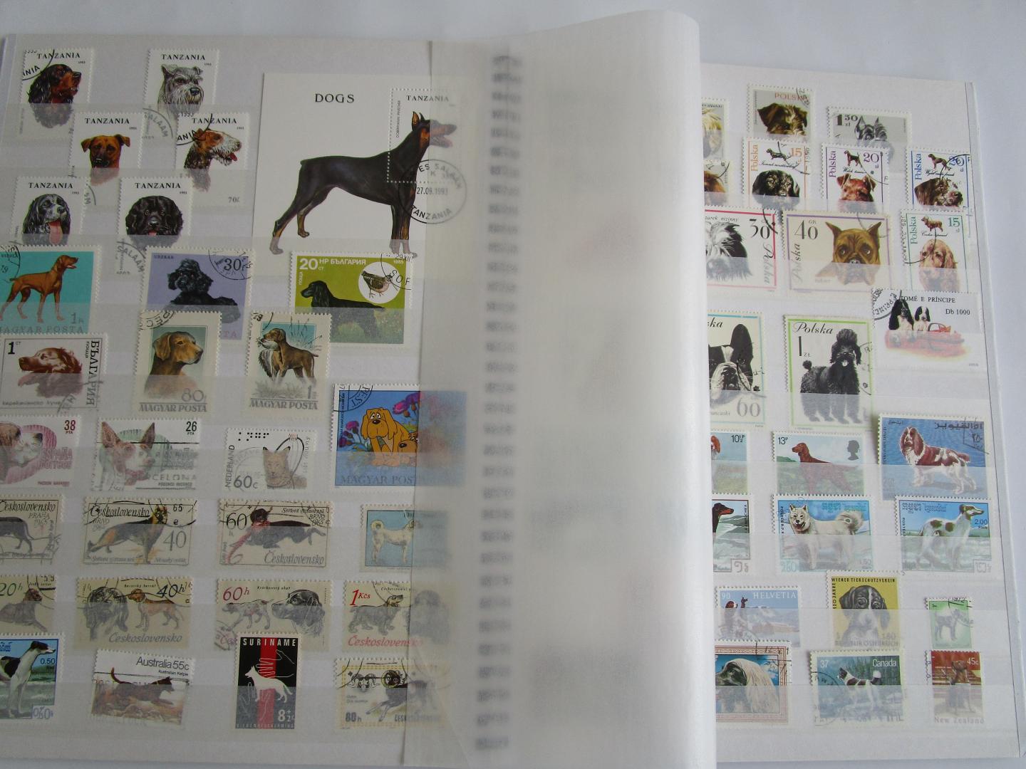 Filatelie - POSTZEGELS  6 pagina's met 139 HONDEN postzegels