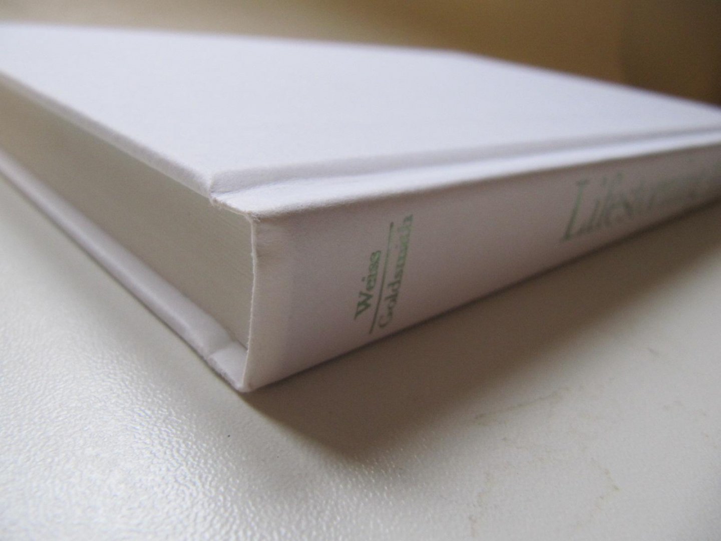 Alan Weiss - Marshall Goldsmidt - Lifestorming - creating meaning and achievement in your career and life