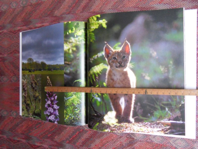 Bade, Tom. - Van Betuweroute naar Veluweroute. - De Nederlandse natuurontwikkeling op de rails. --- 1e druk, 2005. Paperback. In nieuwstaat. Geen naam ingeschreven en geen onderstrepingen. 48 pp. Met prachtige natuurfoto`s van Ruud Lardinois.