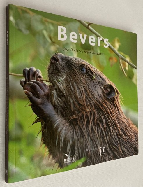 Dekker, Jasja en Stefan Vreugdenhil, - Bevers