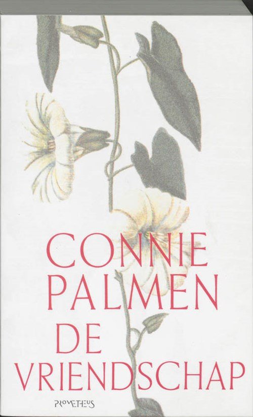 Connie Palmen - De vriendschap