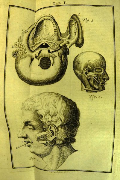 Johan Gottlob Kruger - Physiologia of natuurkundige verhandeling over het leven, en de gezondheid der menschen. door den heer  Johan Gottlob Kruger..door David van Gescher, chirurgin..... uit het Hoogduitsch vertaald en met Aantekeningen vermeerdert door David van G...