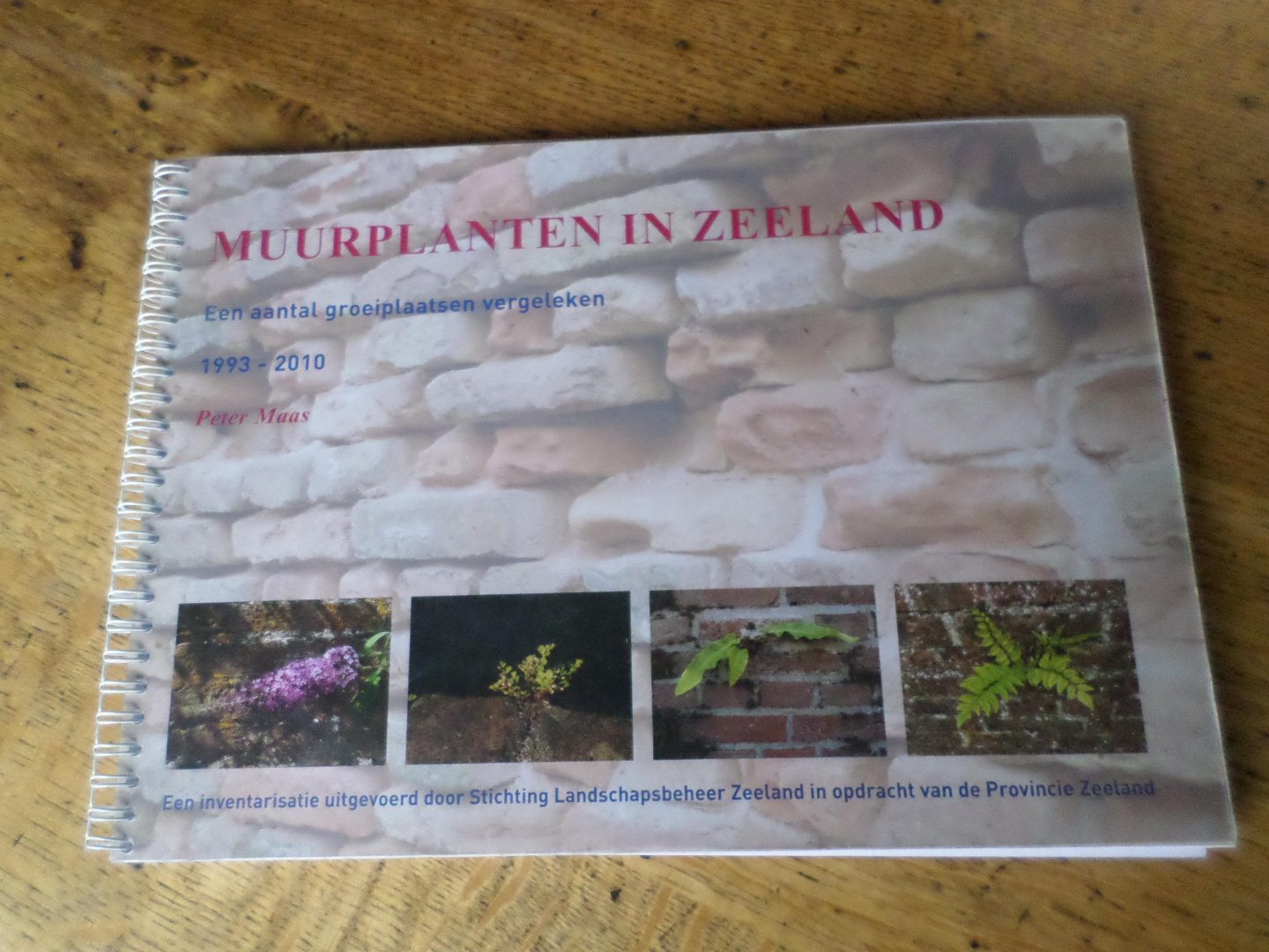 Maas, Peter - Muurplanten in Zeeland