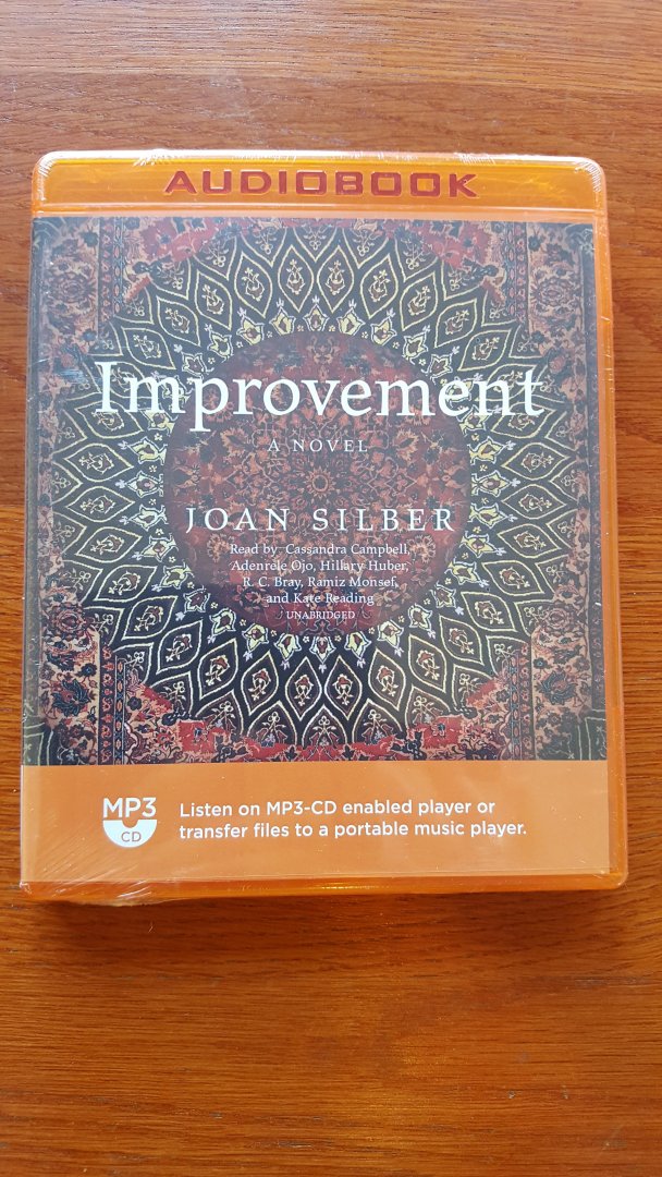 Silber, Joan - Improvement
