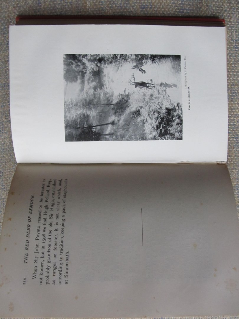 Hamilton, Archibald - THE RED DEER OF EXMOOR With notes on those who hunted them.