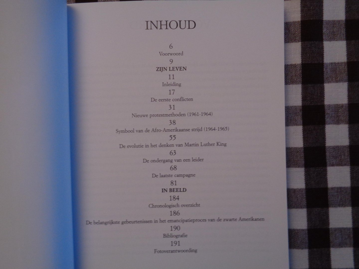 anneke drijver - martin luther king