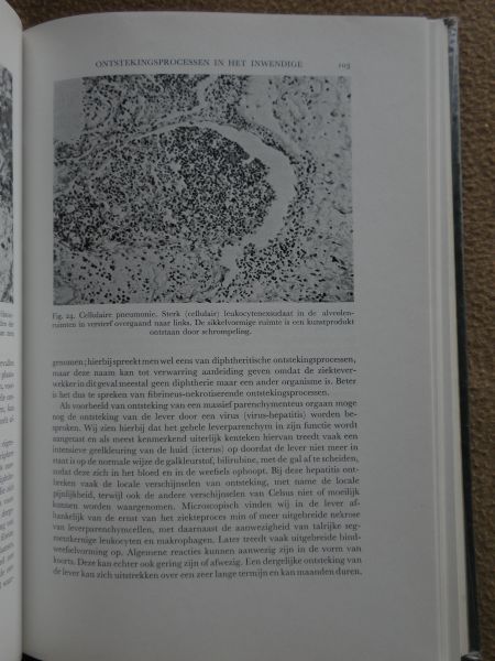 Formijne, P. - Leerboek der algemene pathologie. Hoogleraar aan de universiteit van Amsterdam