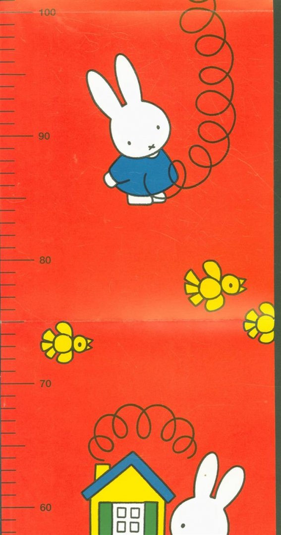 Dick Bruna - Nijntjes groeimeter  ( Oranje versie )