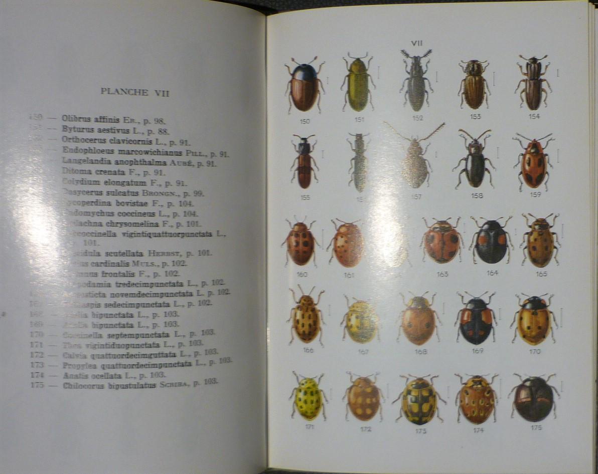 Auber, Luc - Atlas des coléoptères de France, Belgique et Suisse (2delen)
