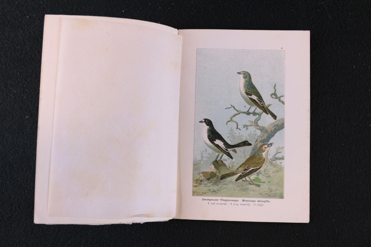 Berlepsch, Hans Freiherr von - De Algemeene Vogelbescherming, haar grondslag en uitvoering. Met acht chromolithographiën en zeventien houtsneden (6 foto's)