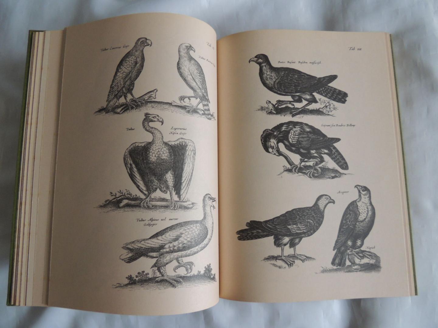 Matthias  Merian - Jonstons J - 2859 afbeeldingen uit J. Jonston's naeukeurige beschrijvingh van de natuur : olifanten, kamelen, leeuwen, adelaars, struisvogels, papegaaien, rivier,- zee- en strandvissen, vliegen, wormen, slangen en draken
