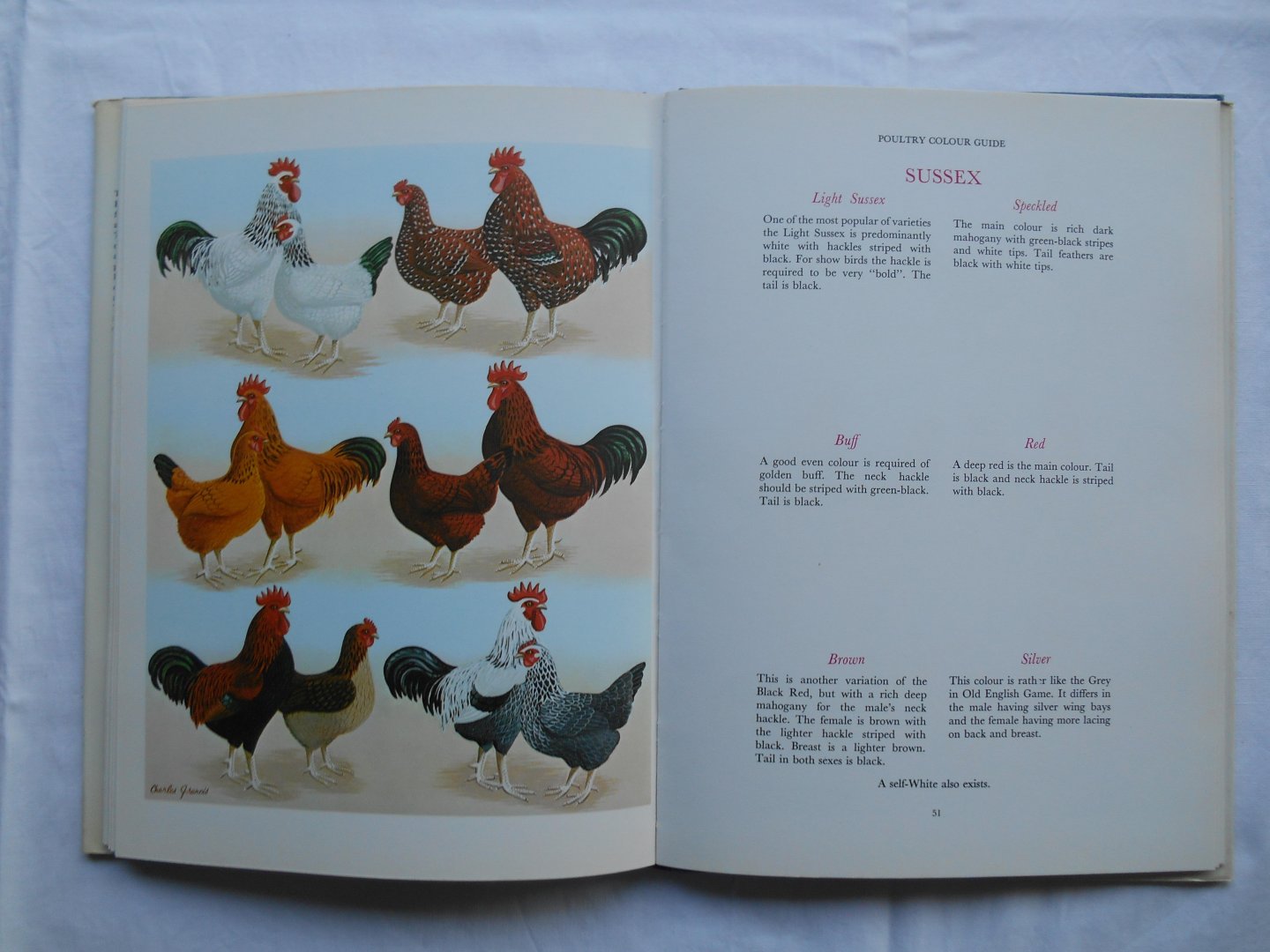 Batty, Dr. J. & Charles, Francis - Poultry Colour Guide.