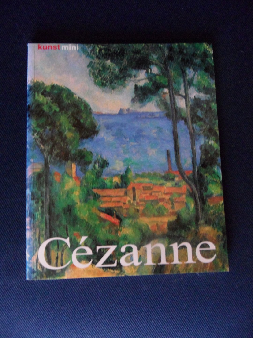 Nonhoff, Nicola - Paul Cézanne. Leven en werk