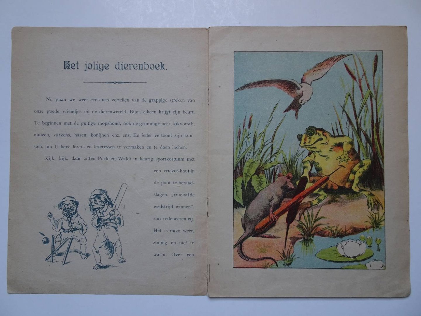 N.n.. - Het jolige dierenboek.
