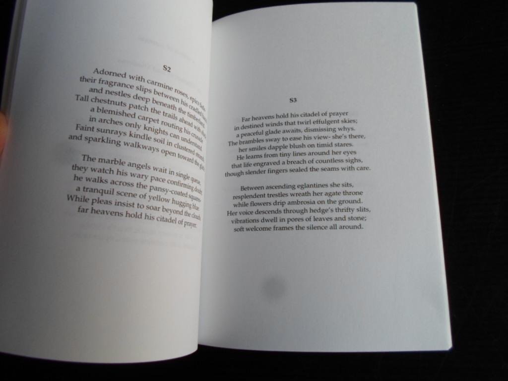 Wanzool, Chris - Edges, Poems