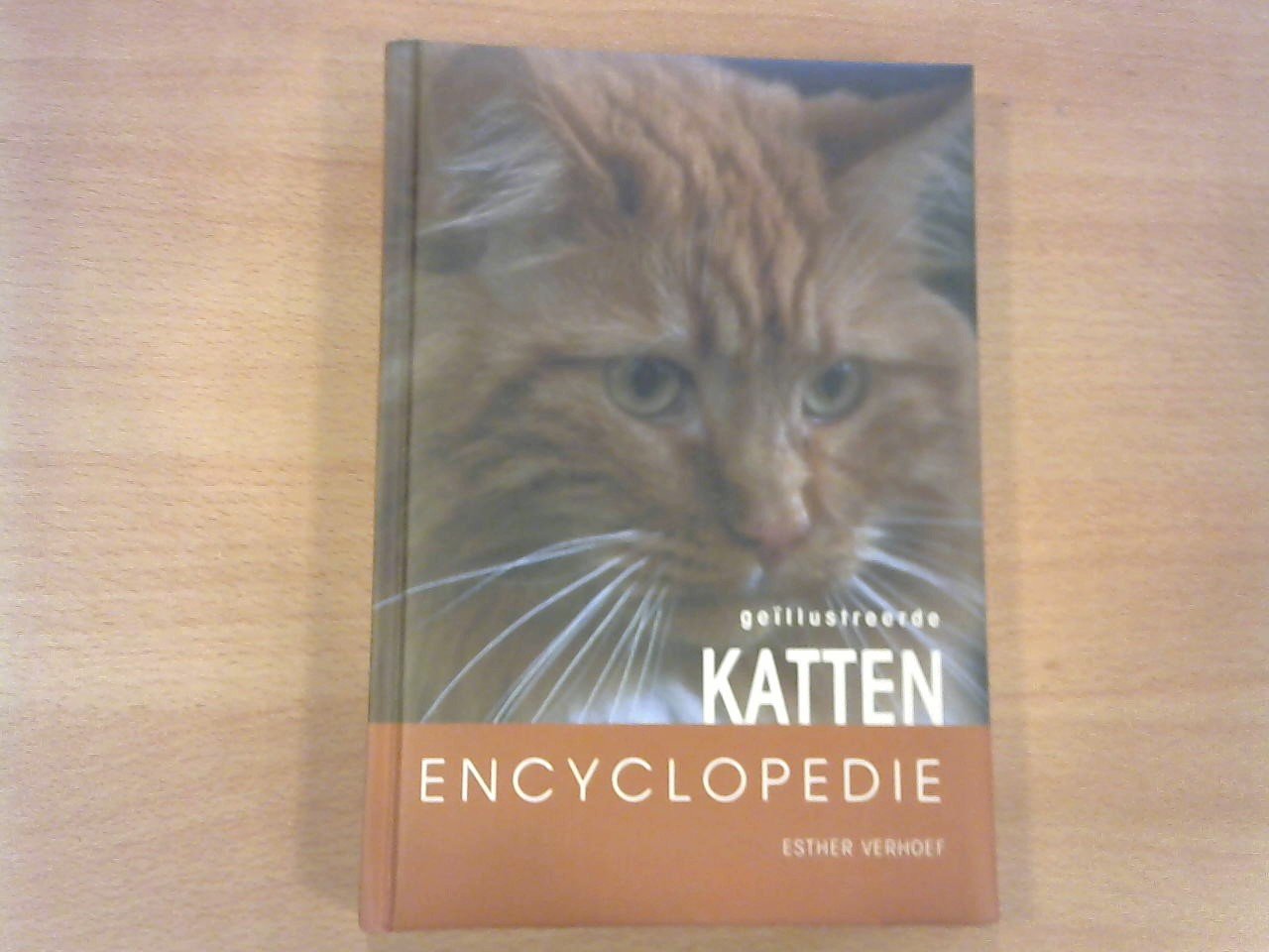 Verhoef, Esther (tekst en fotografie) - Katten encyclopedie