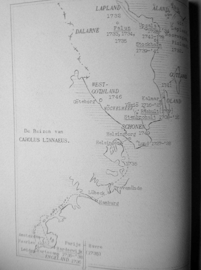 Boerman, Albert Johan - Carolus Linnaeus als middelaar tussen Zweden en Nederland