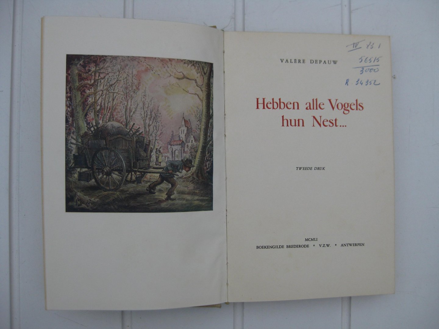 Depauw, Valère - Hebben alle Vogels hun Nest...