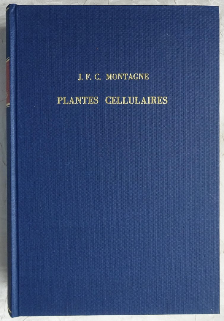 Montagne, J.F. C. - Plantes Cellulaires Nouvelles tant Indigènes qu'Exotiques. REPRINT [ isbn 9061050219 ]