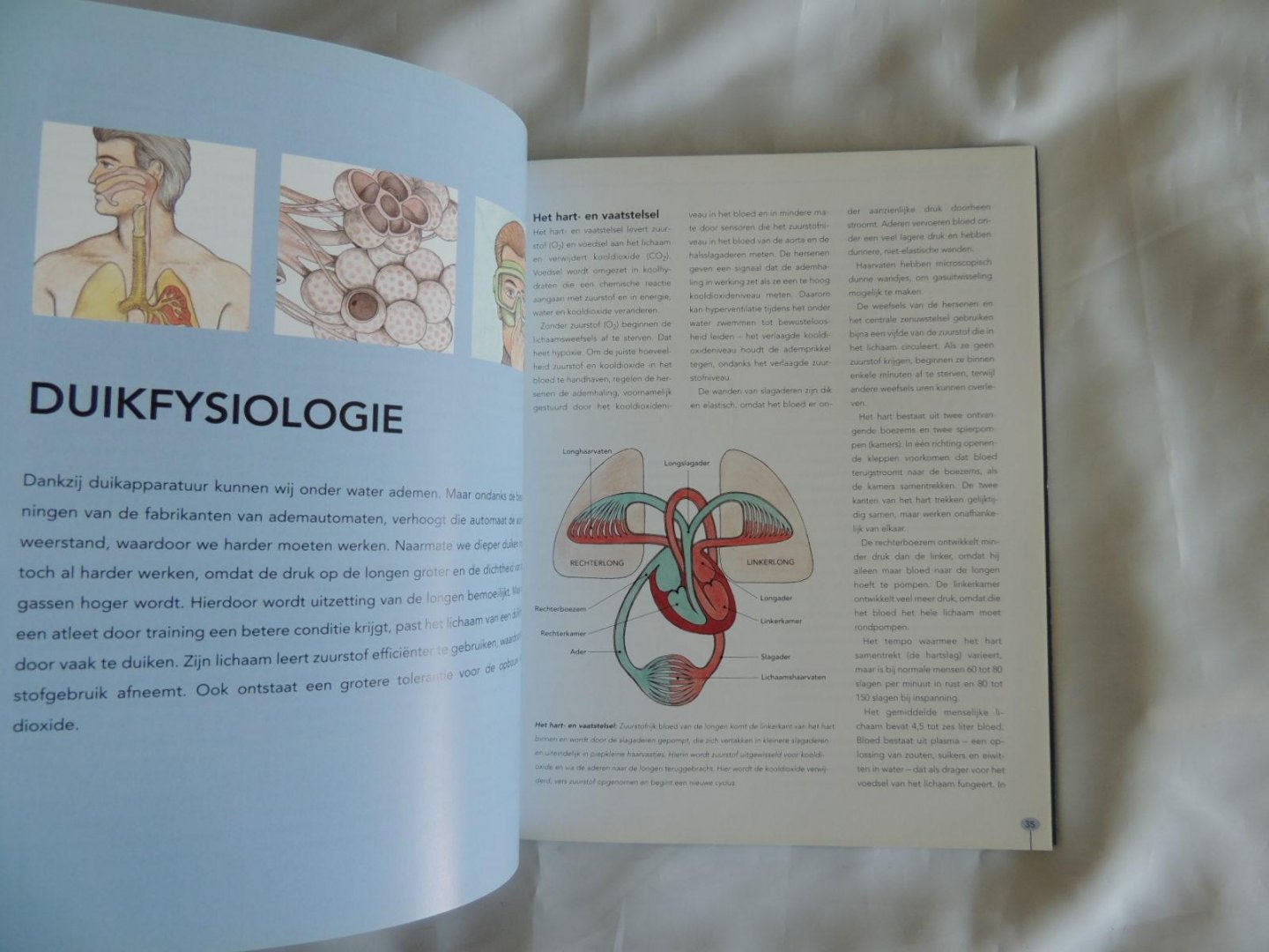 Jackson, Jack - Handboek duiken. Techniek, materiaal en onderhoud, nachtduiken, fotografie, archeologie.