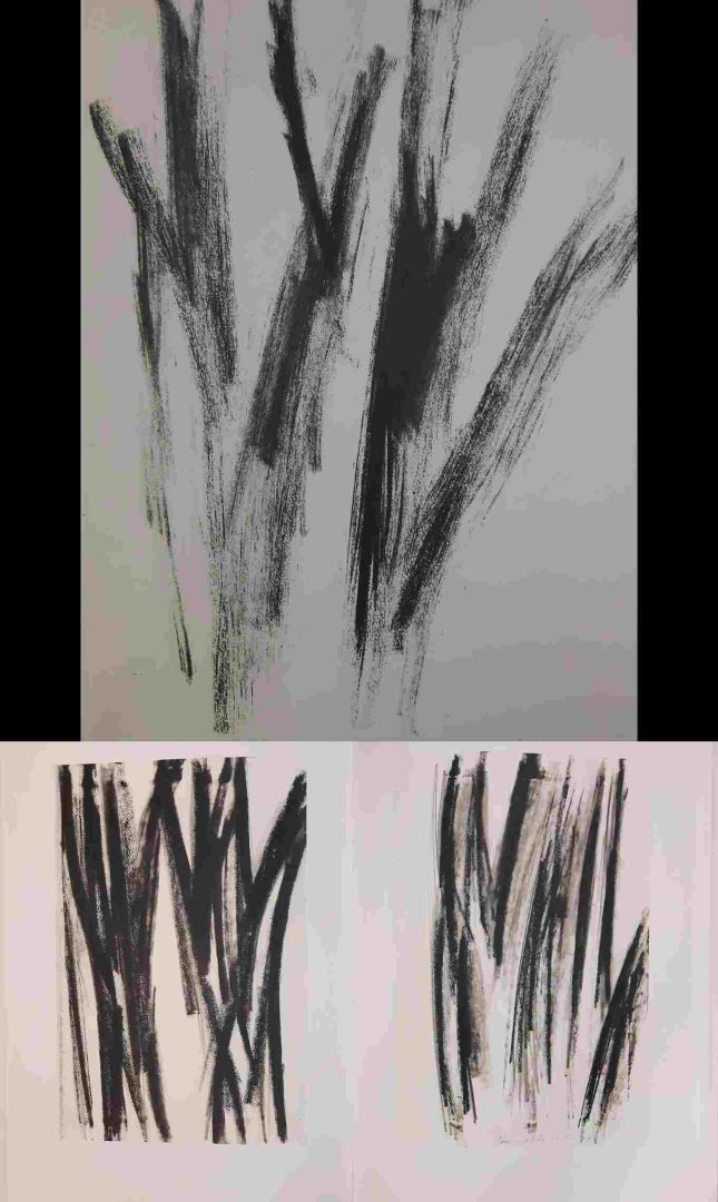 RABINOWITCH, DAVID. - 9783928762113. Mit einem Text von/text by  Dieter Schwarz.