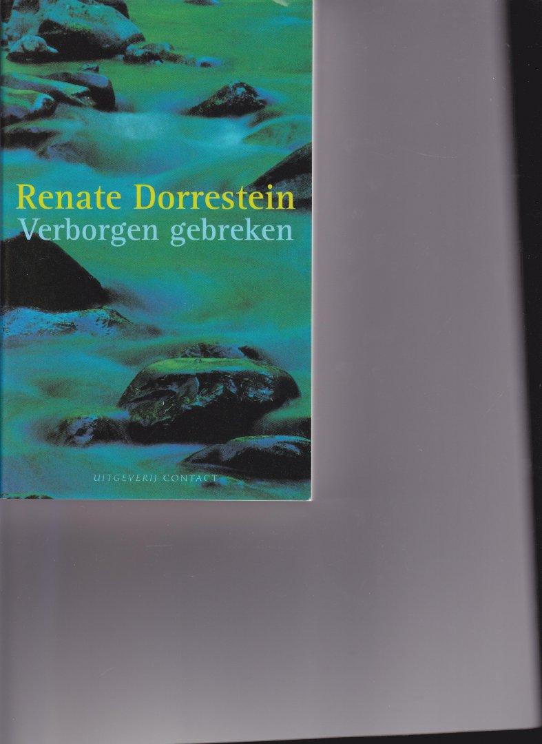 Dorrestein, Renate - Verborgen gebreken